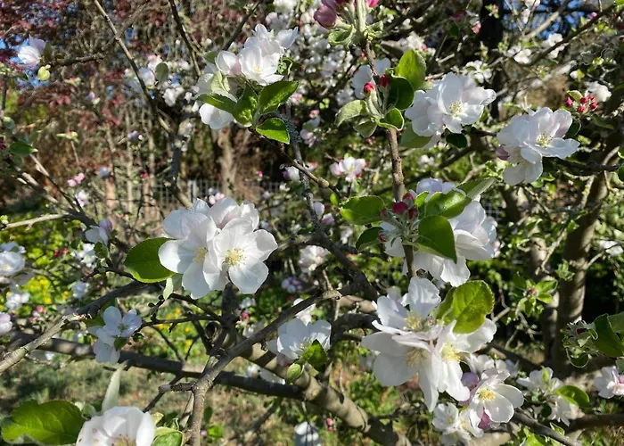 Het Beregoed * Malden